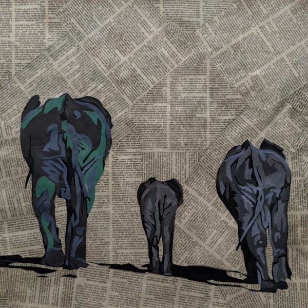 Elephants-2