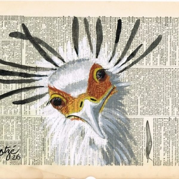 ????????????????????????????