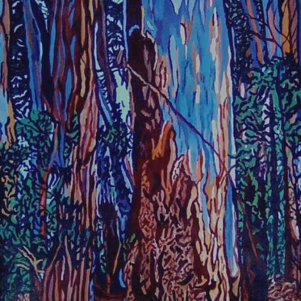 Stapleford Gum Trees