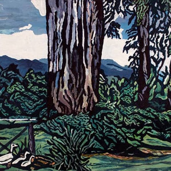 view from Tonys garden